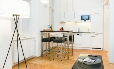 Luxury Apartment in Vienna’s City Center