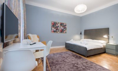 Charming & Cozy Studio in Vienna’s 9th District